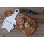 Lamelles de truffe blanche Alba séchée d'Italie - direct producteur