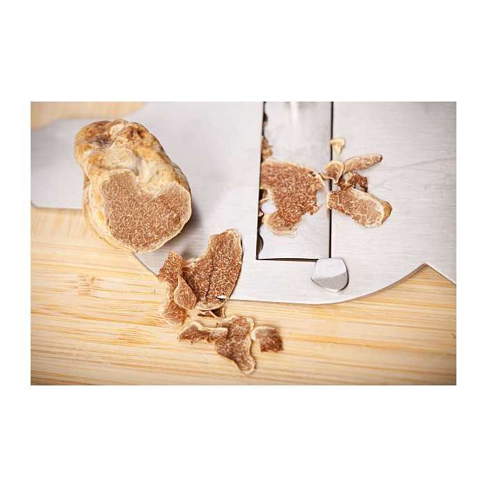 Slices of dried white truffle Alba from Italy - direct producer
