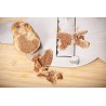 Slices of dried white truffle Alba from Italy - direct producer