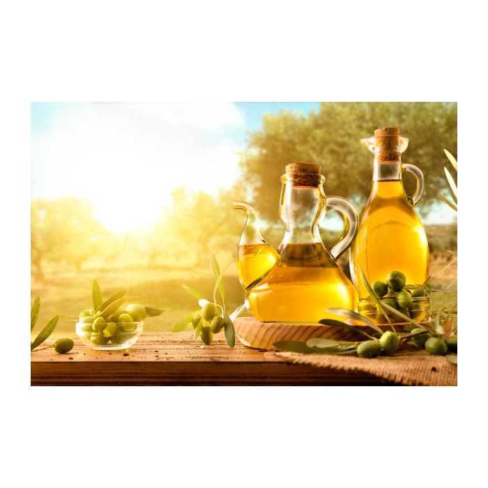 Organic extra virgin olive oil PDO from Provence - direct producer