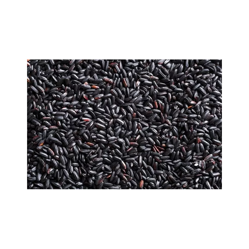 Organic Nerone black rice or emperors' rice from Italy