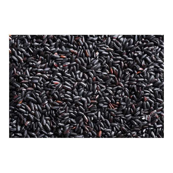 Riz bio noir Nerone complet ou riz des empereurs ou riz interdit d'...