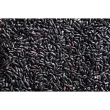 Organic Nerone black rice or emperors' rice from Italy