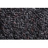Riz bio noir Nerone complet ou riz des empereurs ou riz interdit d'...
