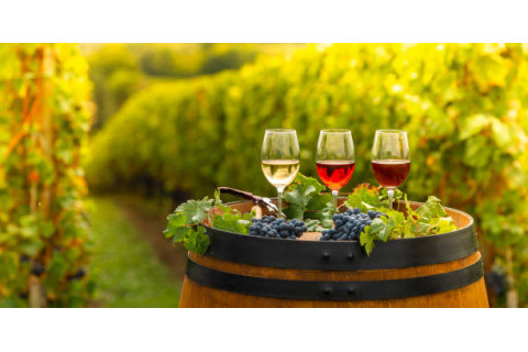 Organic & Exceptional Wines – Refined Crus | HECOSFAIR Cellar
