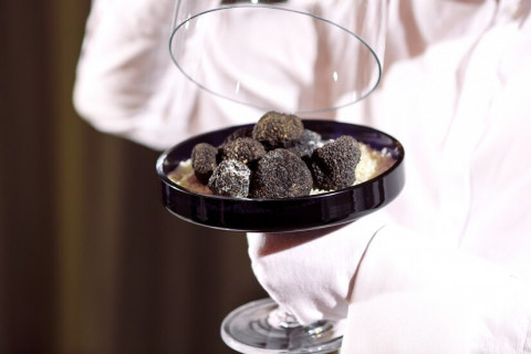 Premium Organic Mushrooms, PGI Porcini, PDO Truffle, Morel - HECOSFAIR