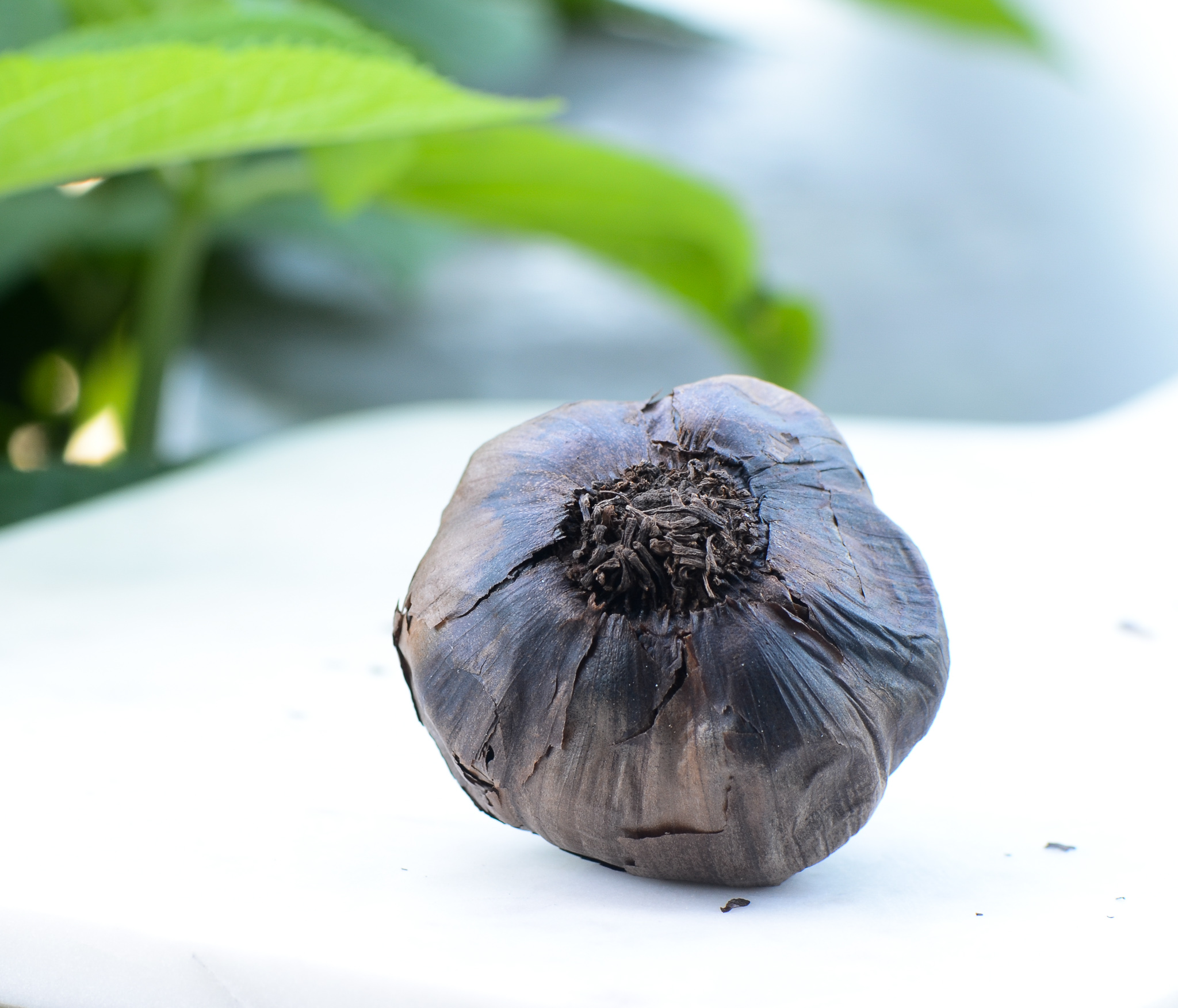L'ail noir : un super-aliment à faire chez soi - Vaucluse
