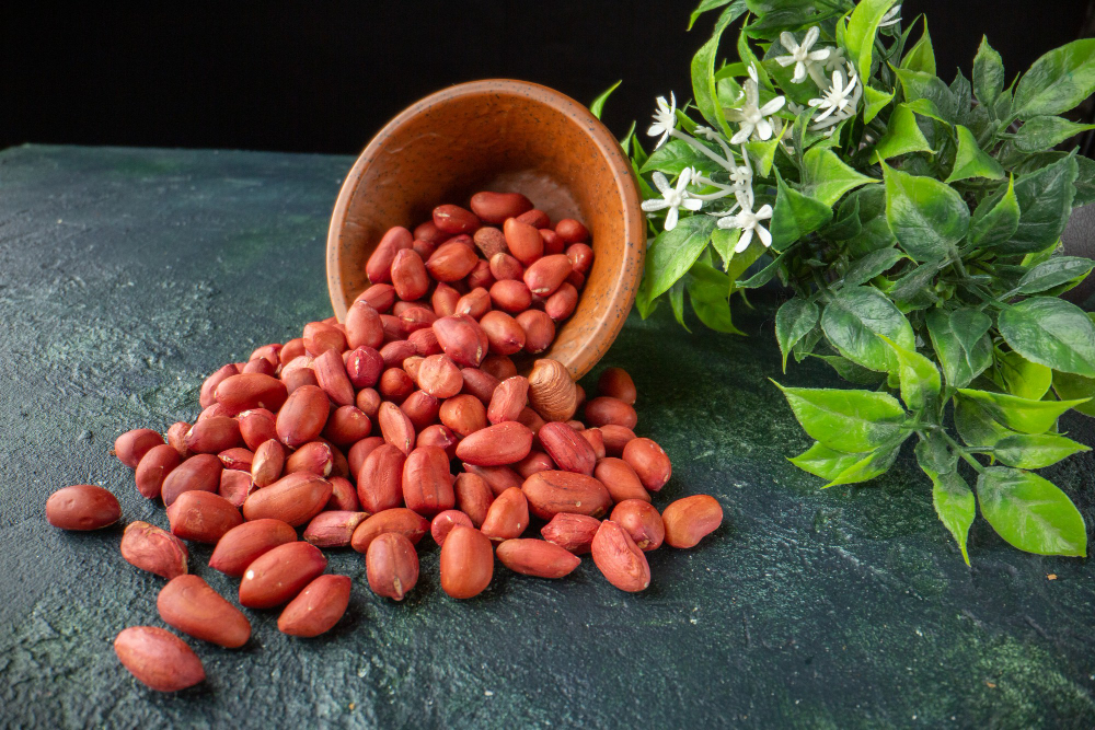 Cacahuètes ou arachides crues bio & fairtrade d'Ouzbékistan