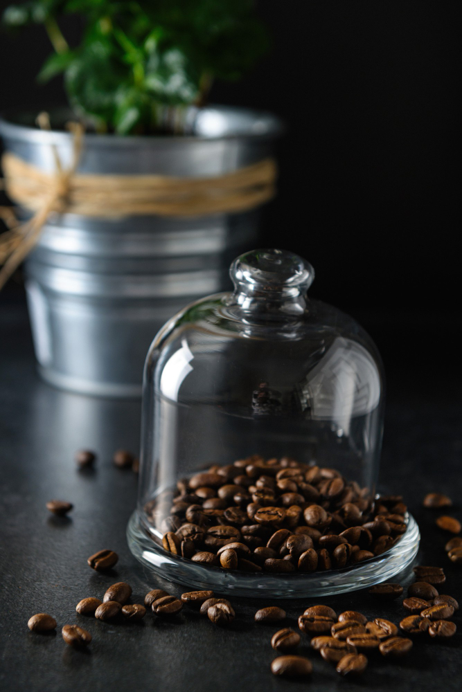 250g café grains bio 100% Arabica - Destination