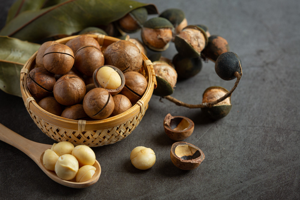 Noix de macadamia avec coque – Les Trésors du Vietnam