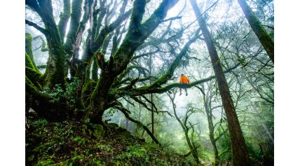 With HECOSFAIR, every order helps life take root